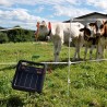 Electrificateur/poste de clôture Gallagher solaire S40 avec batterie (6V - 0,4J) Electrificateurs énergie solaire