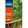 Graines basilic grand vert Caillard Aromatiques