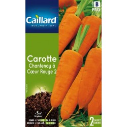 Graines carotte Chantenay à coeur rouge 2 Caillard Légumes