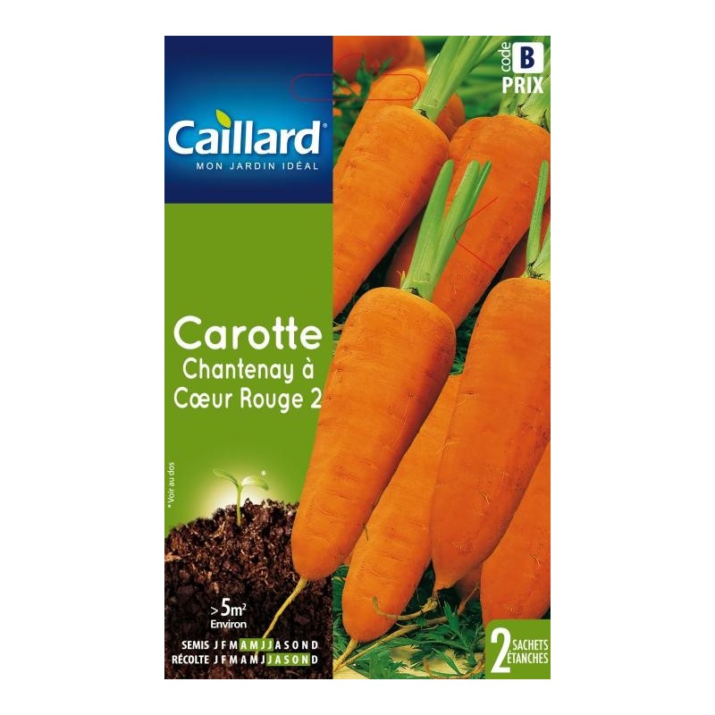 Graines carotte Chantenay à coeur rouge 2 Caillard Légumes
