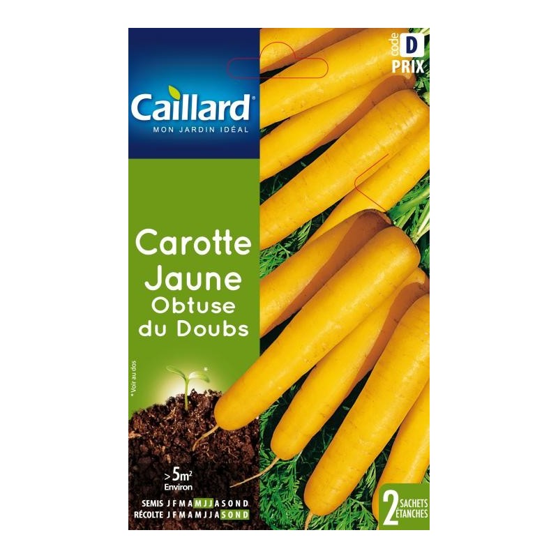 Graines carotte jaune obtuse du Doubs Caillard Légumes