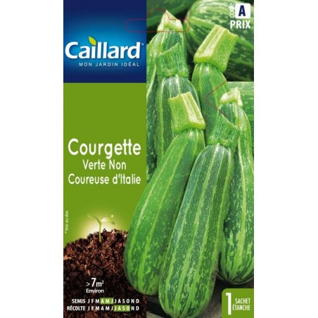 Graines courgette verte non coureuse d'Italie Caillard Légumes