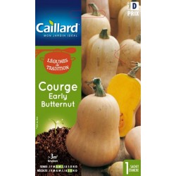 Graines courge early butternut Caillard Légumes