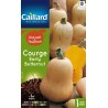 Graines courge early butternut Caillard Légumes