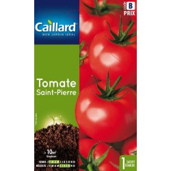 Graines tomate Saint-Pierre Caillard Légumes