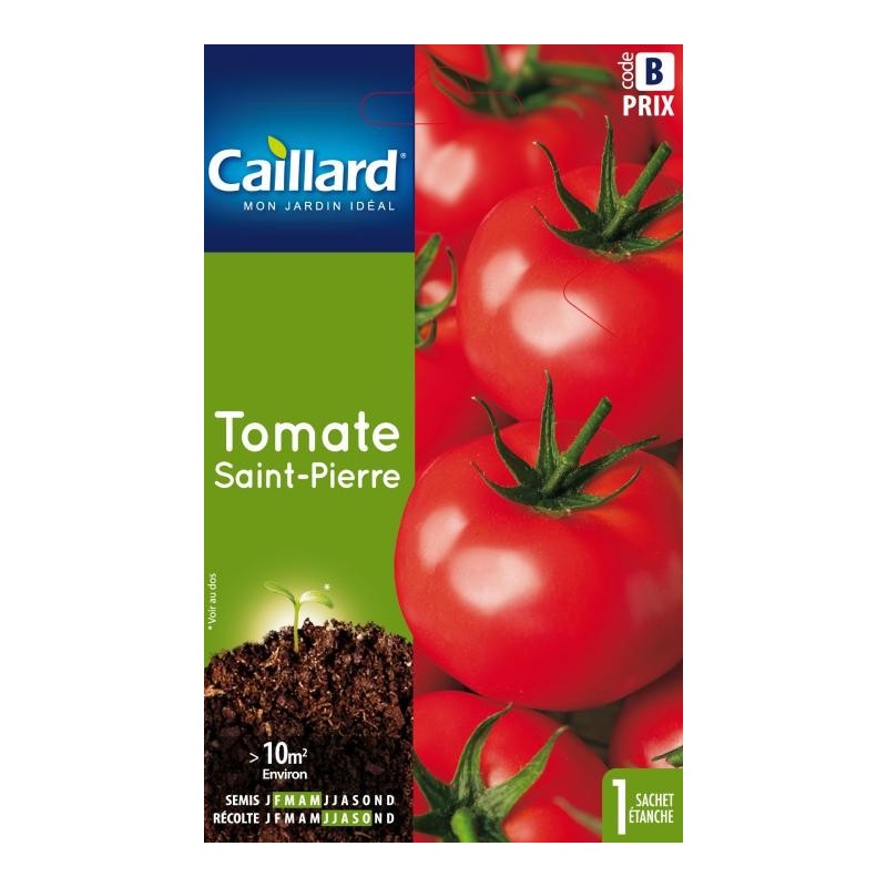 Graines tomate Saint-Pierre Caillard Légumes