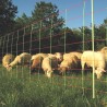 Filet Combi, pointe simple, 90cm, 50m Gallagher Filets clôtures électriques