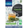 Graines Romarin Bio pour infusions Caillard Aromatiques