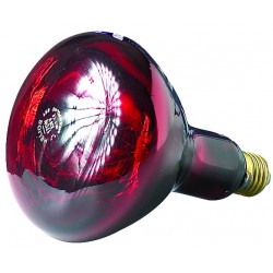Ampoule infrarouge Helios 175W rouge Lampes chauffantes