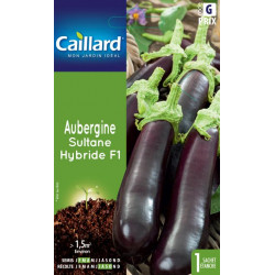 Graines Aubergine Sultane hybride F1 Caillard Légumes
