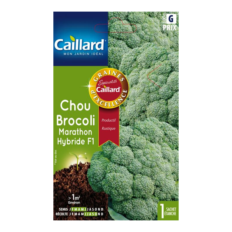 Graines Chou brocoli marathon hybride F1 Caillard Légumes