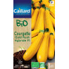 Courgette Gold Rush Hybride F1 Bio Caillard Légumes